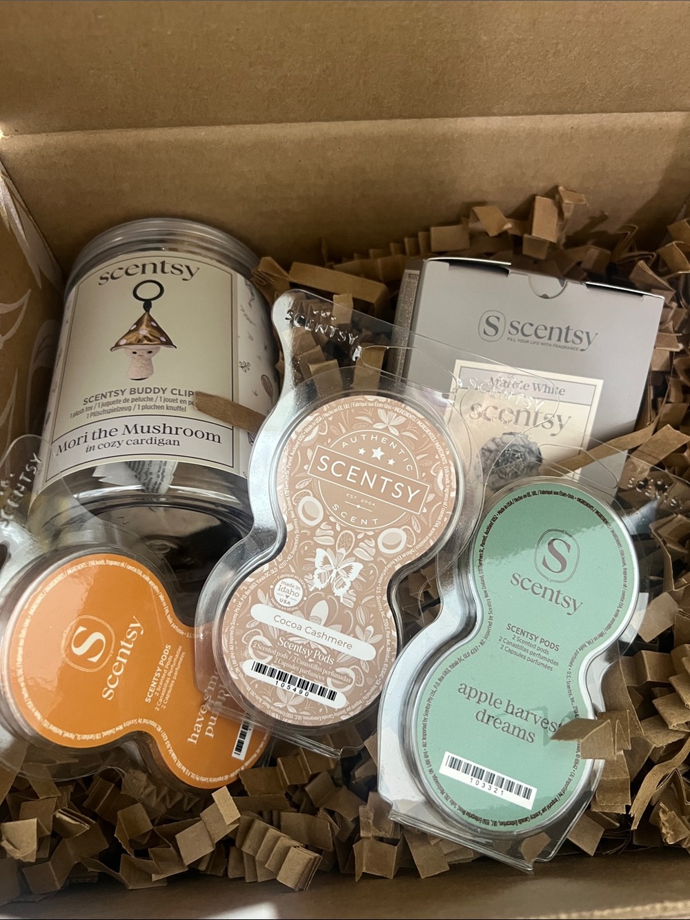 NEW Scentsy August 2026 Whiff Box Fall Bundle – $63 Value